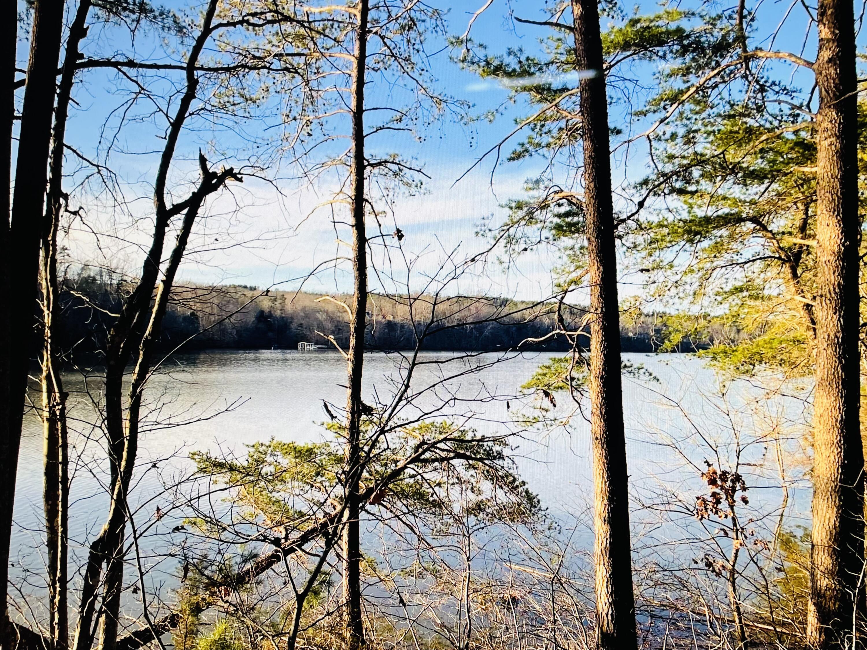 Image 2: Waterfront Lot 34 Water View Ct