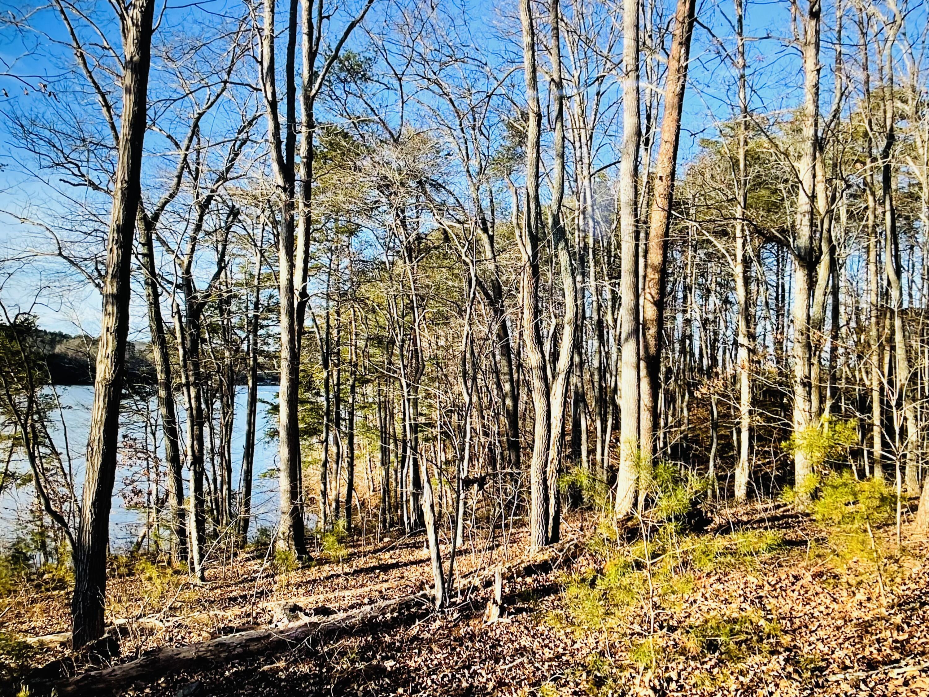 Image 4: Lot 34 Leesville