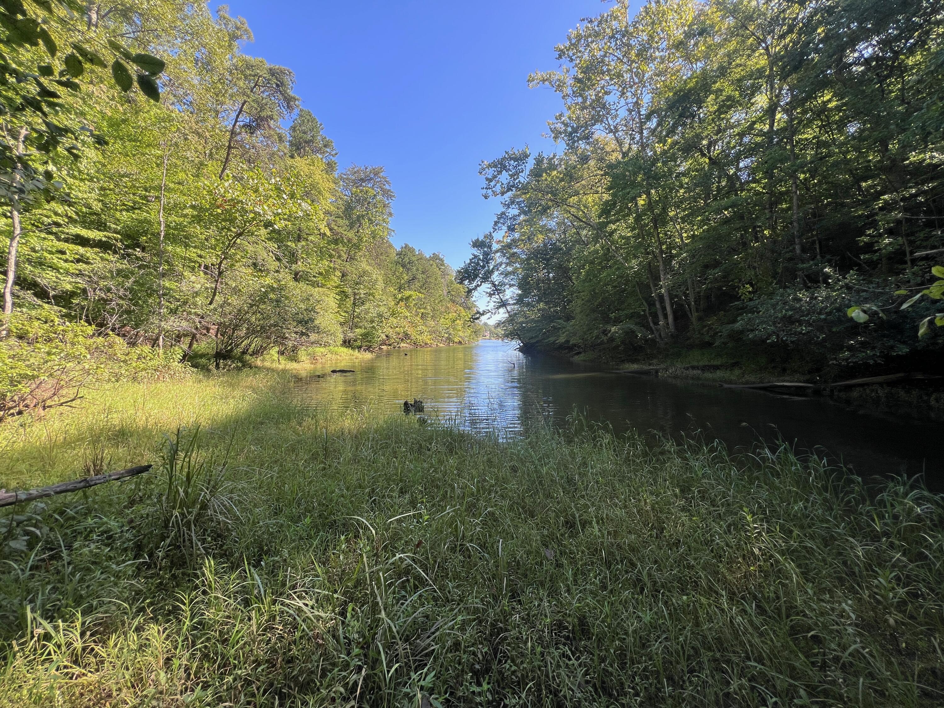 Image 2: Main