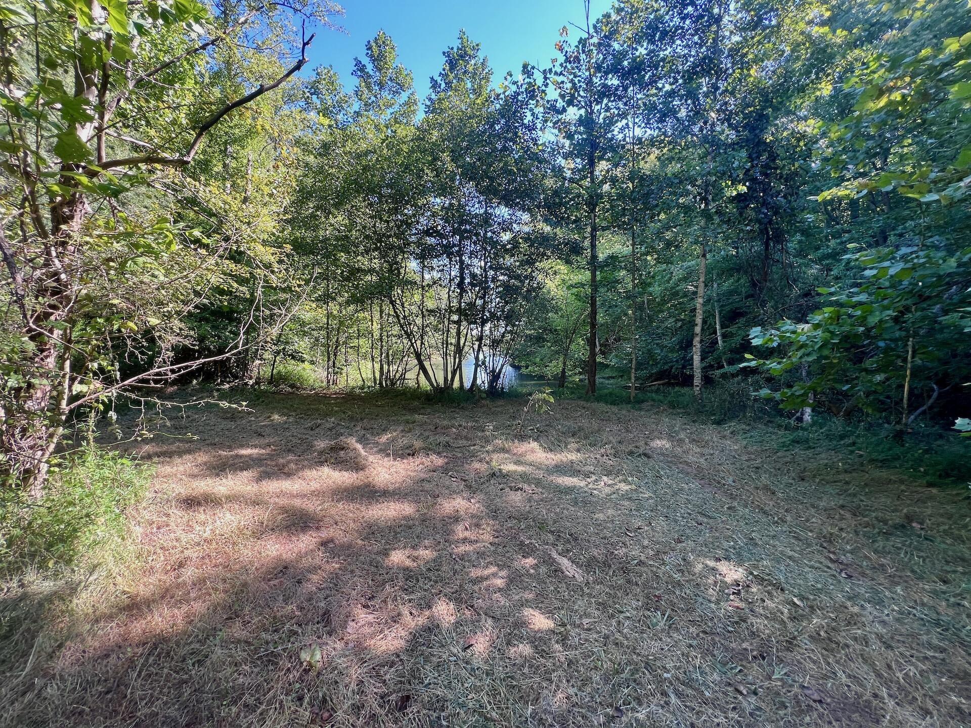 Image 3: Leesville - 2