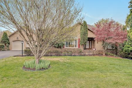 375 Chestnut Creek DR