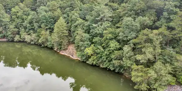 Image 3: 05-070820240039