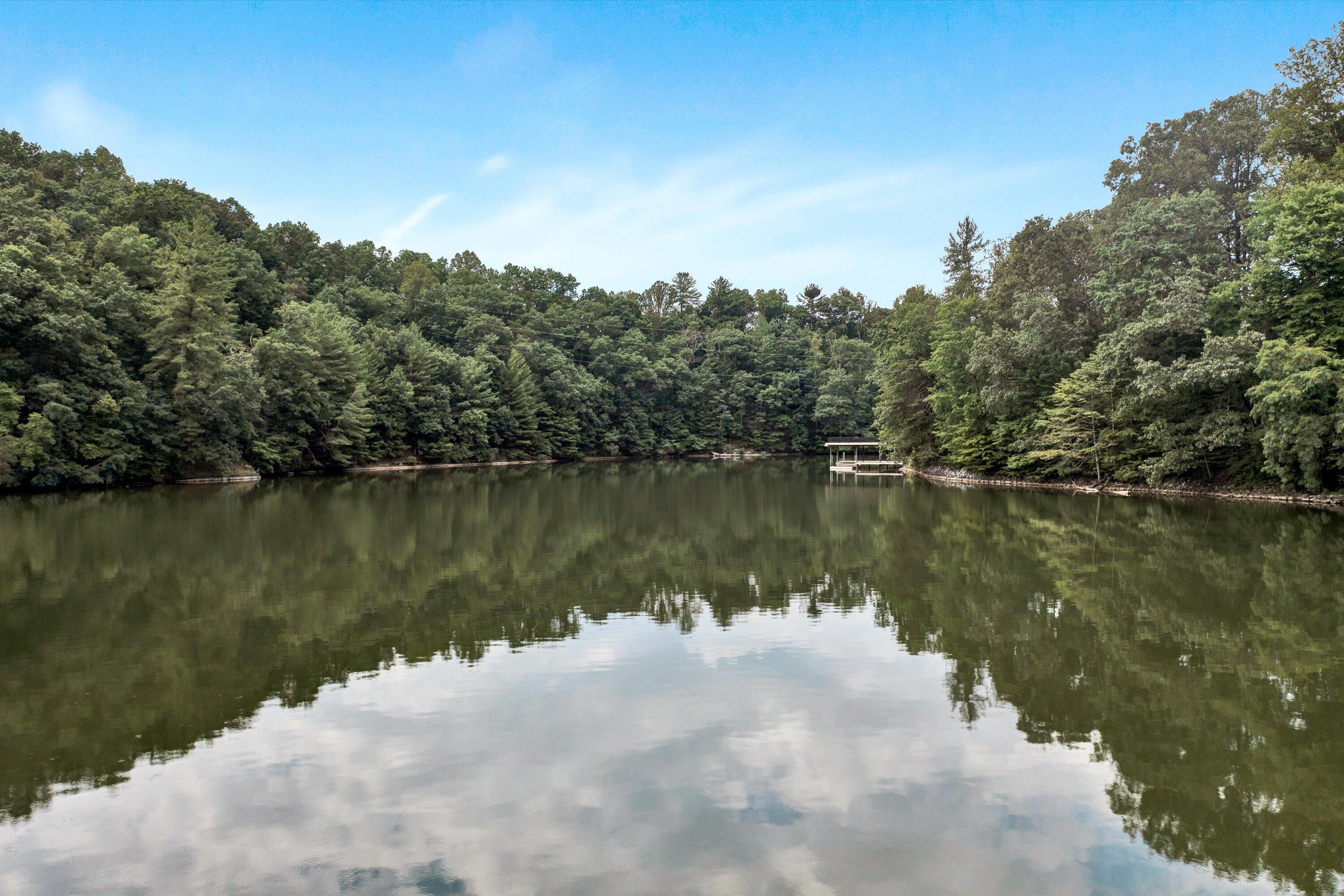 Image 4: 06-070820240040