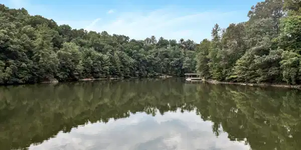 Image 4: 06-070820240040