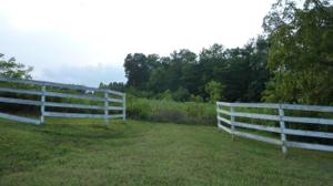 LOT 64 ROSE ST