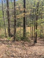 0 Pine Ridge DR Lot #73