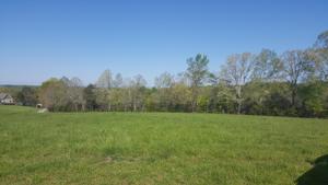 Lot 3 Grey Goose LN