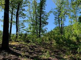 Lot 177 Talon Ridge CT