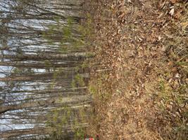 Lot #375 MT AIRY RD