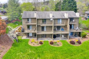 202 Harbor Ridge DR