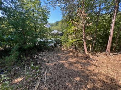 Lot 36 Lakewatch CIR