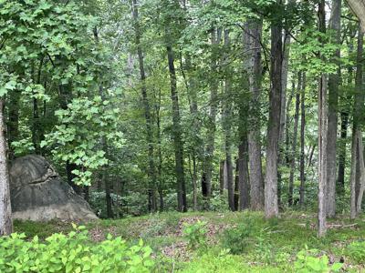 Lot #115, 116, 117 L 115-117 Bailey BLVD