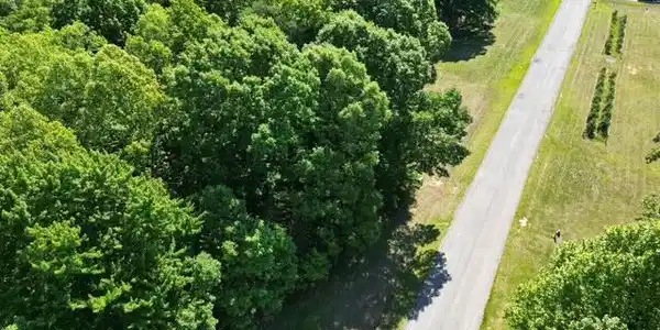 Lot #39 Sassafras CT