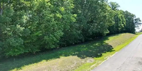 Image 3: Mostly Wooded, Private Setting