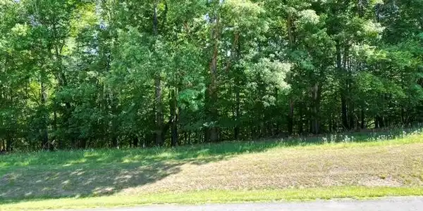 Image 4: 3.17 ACRES