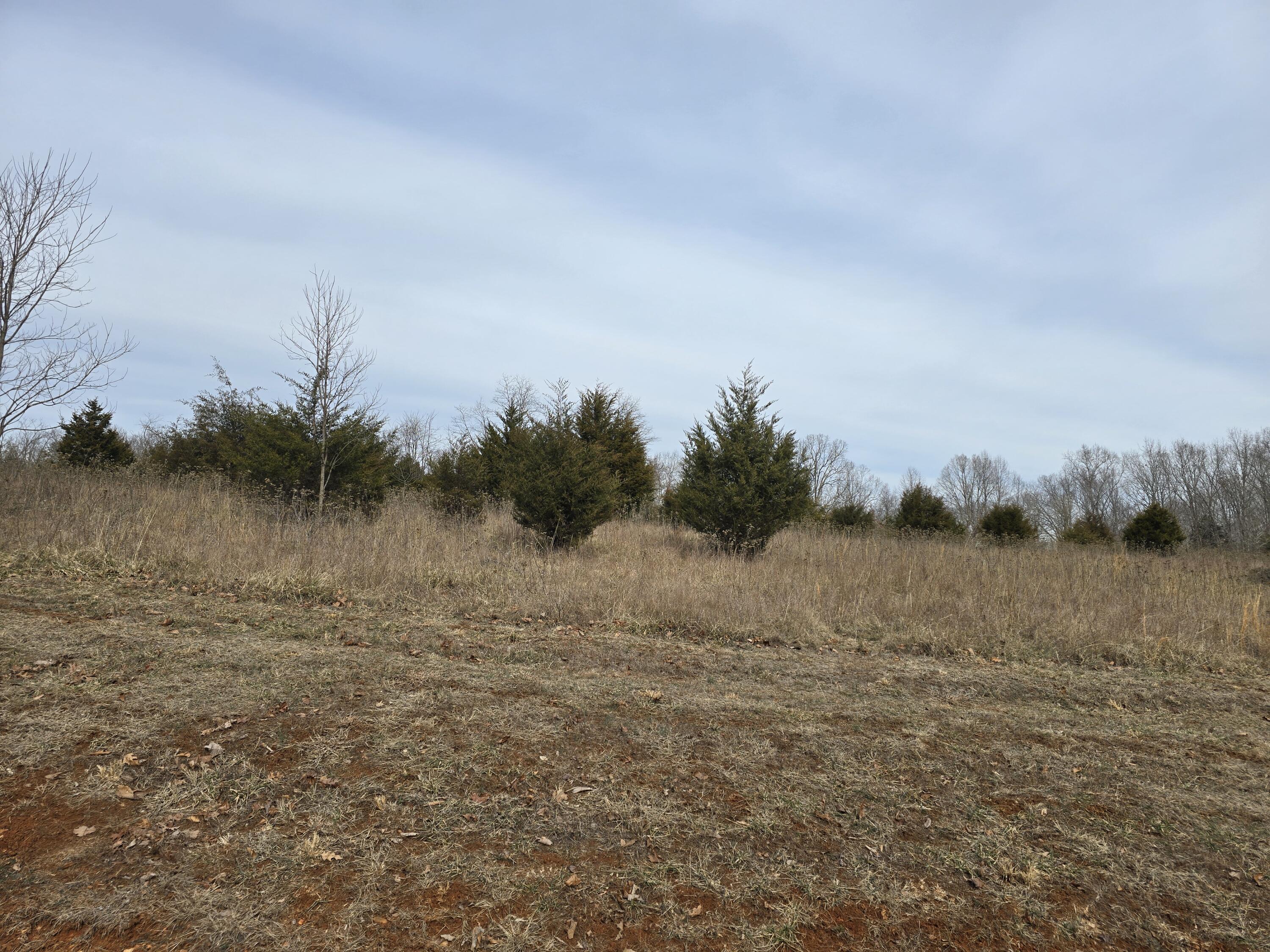 Image 3: Lot 16