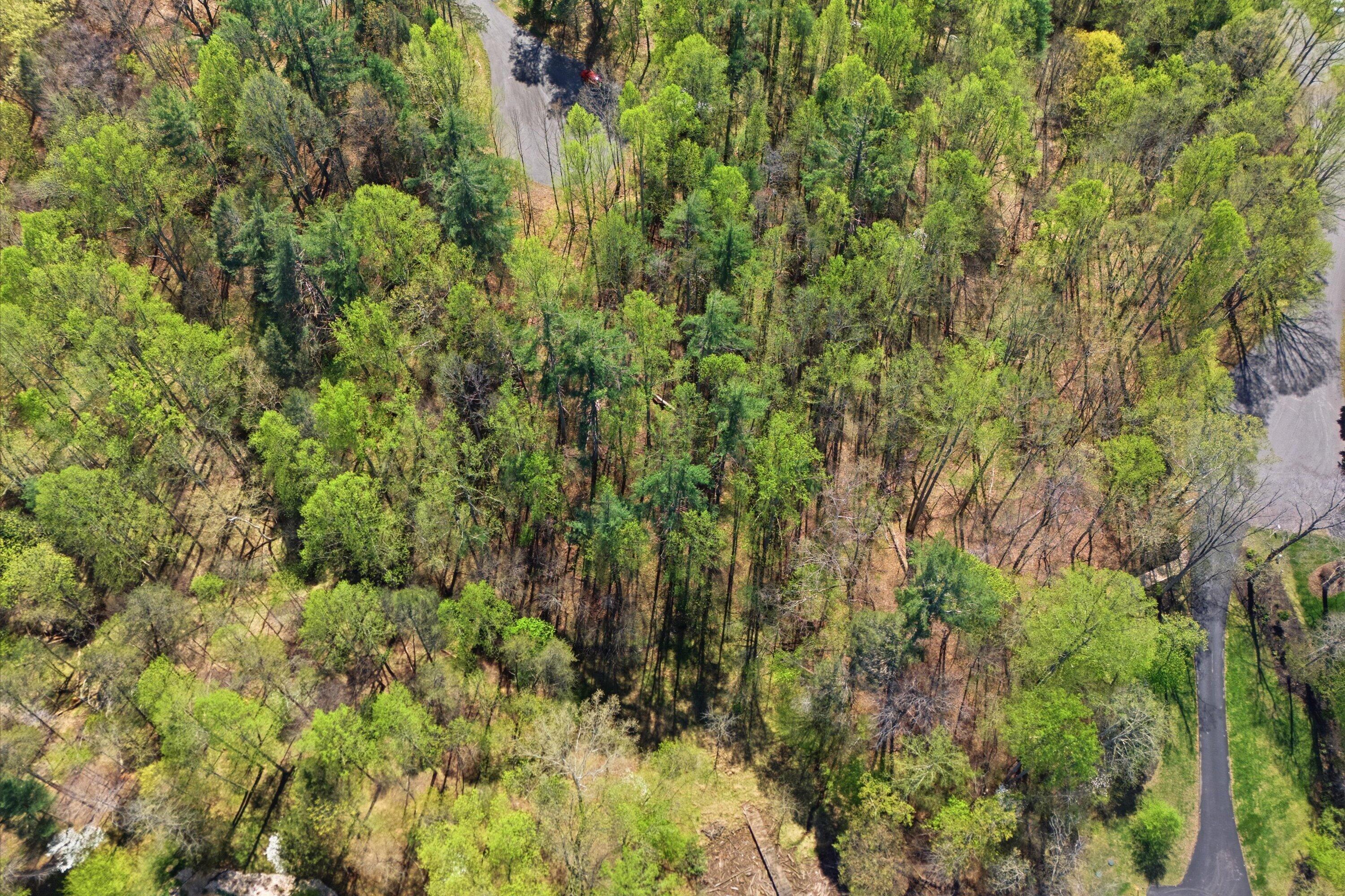 Image 4: 04-DJI_20260407143523_0167_D