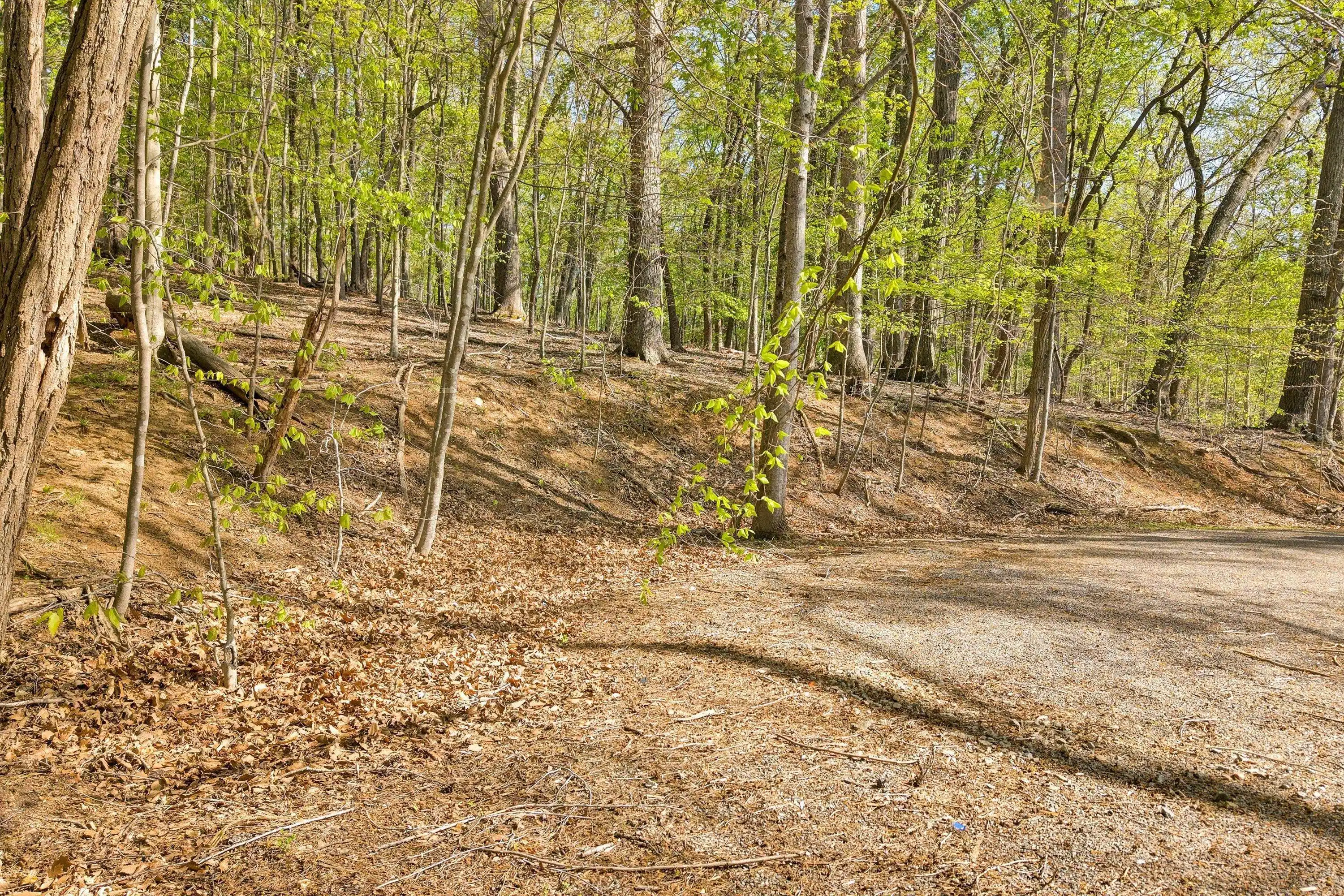 Image 1: Lot 43 Old Barn Road (3)