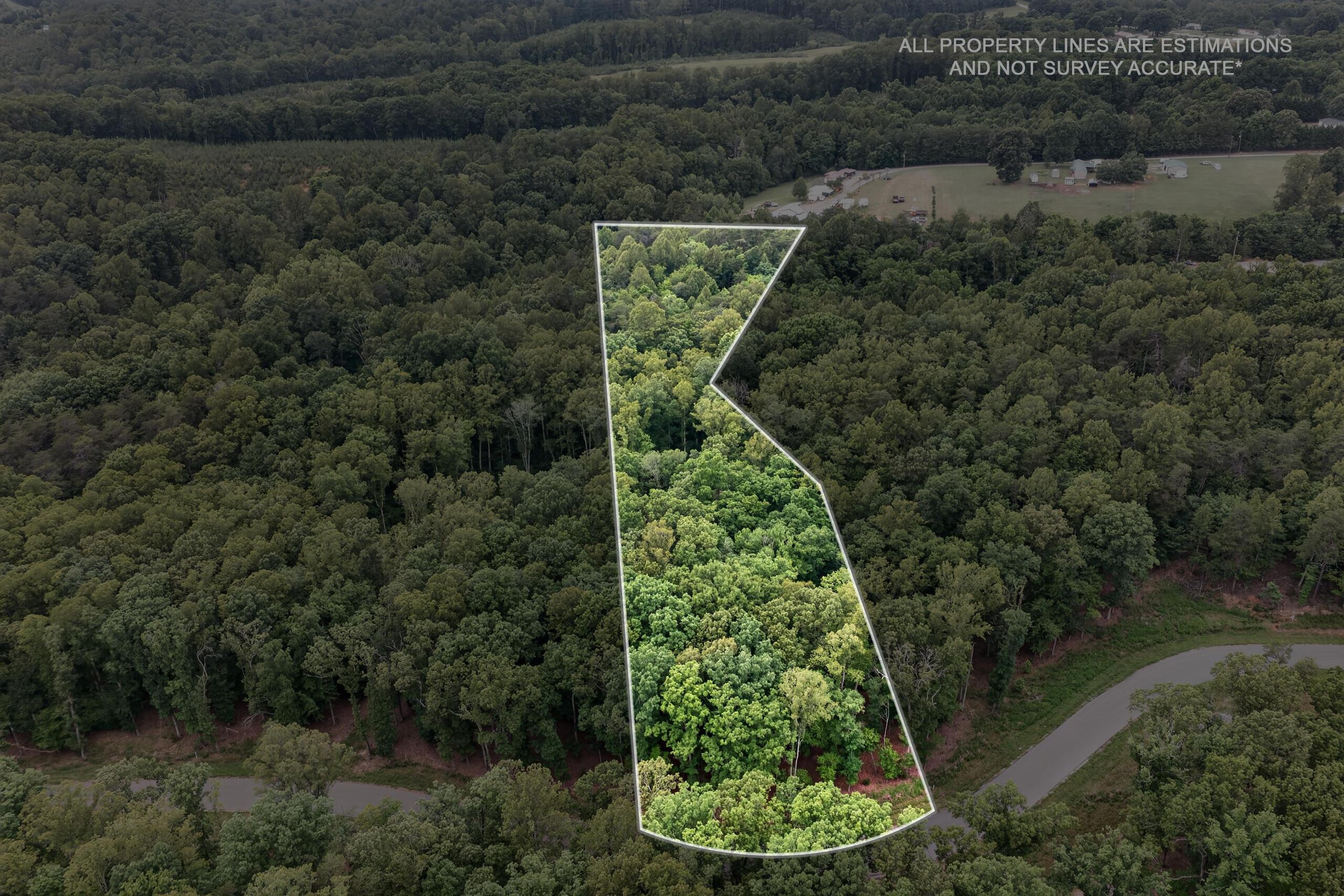 Image 4: Lot 4 Aerial