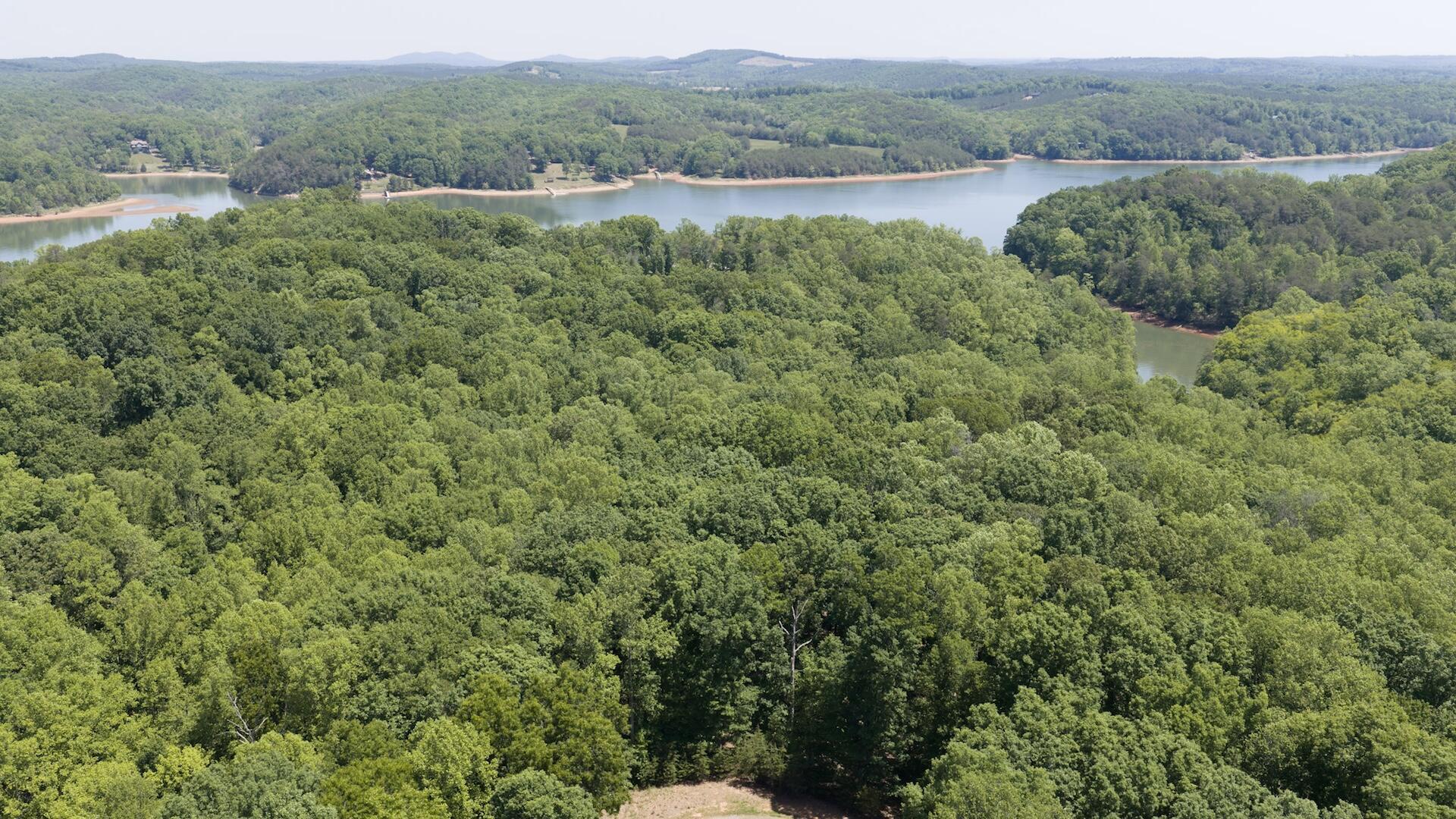 Image 1: Main
