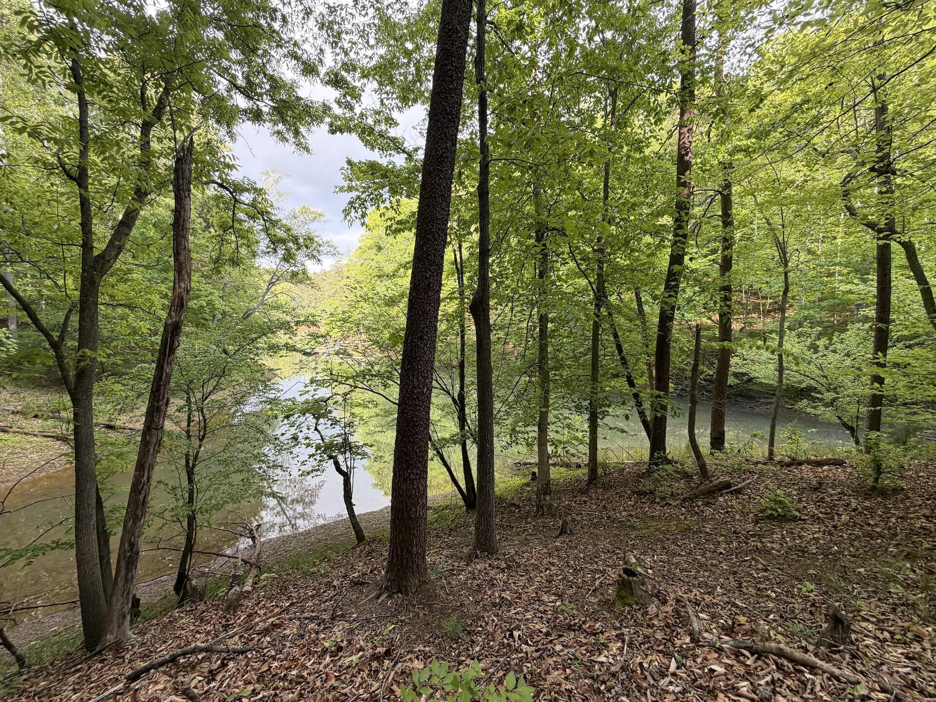 Image 4: 5