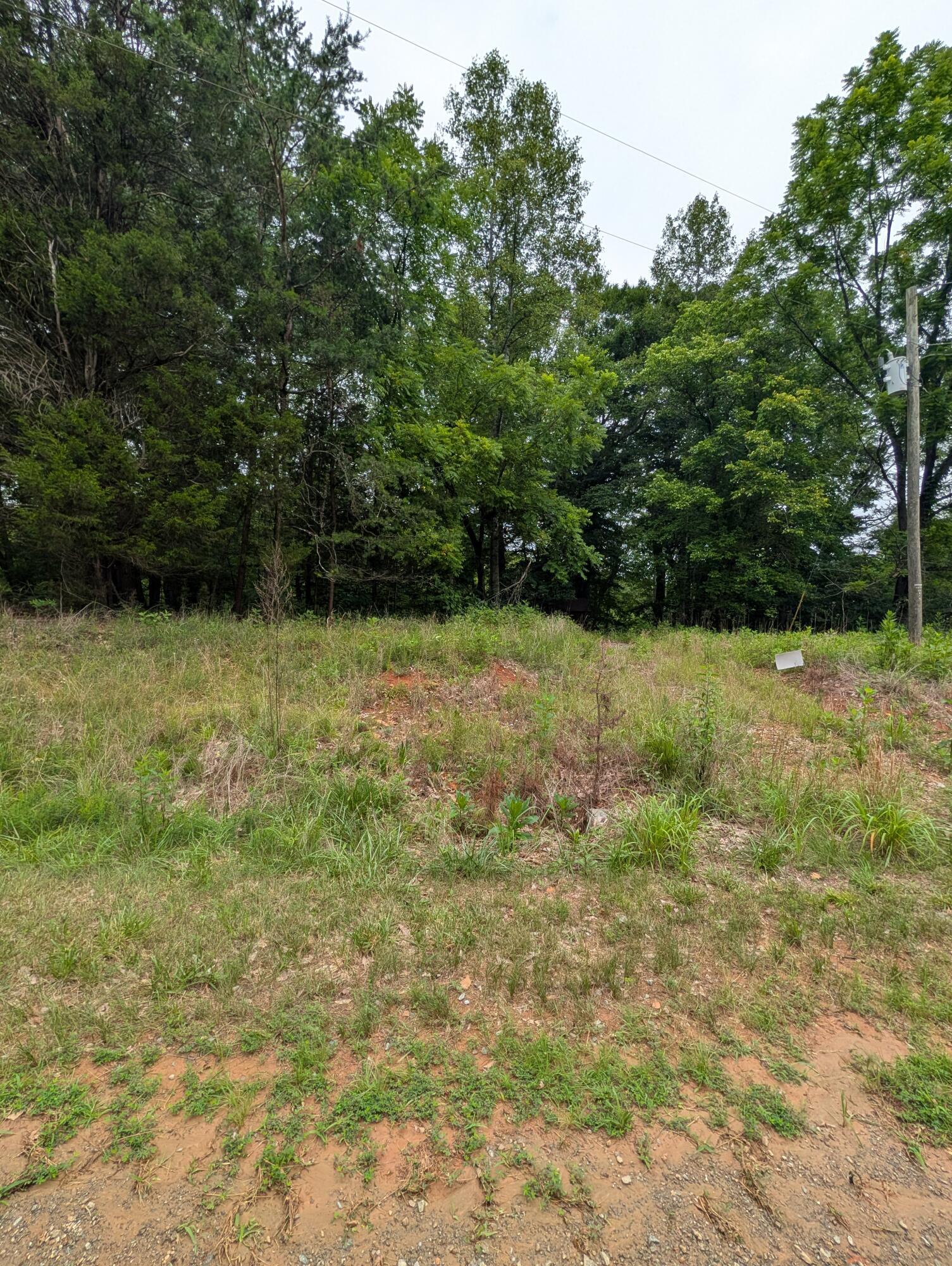 Image 3: PXL_20260629_155551981