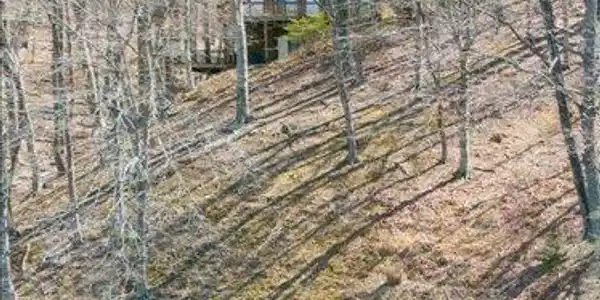 Lot 14 Waterwood DR