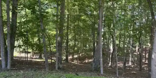 Lot 218A Hunterwood CIR