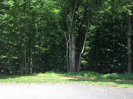 Lot 272 NIBLICKS CIR