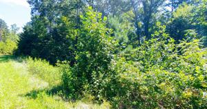 Lot 2 Bridgewater LN