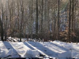 Lot 13 Little Creek RD