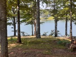 123 Sunset Point DR