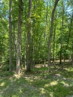 Lot 14 Cedar Bluff LN