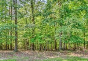 Lot 15 Lakecrest DR