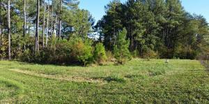 410 Ponderosa DR Lot #14 & 15