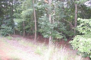 Lot 141 Riverwood LN