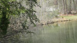 Lot 2 COX ST