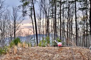 Lot 9 Robin Ridge CT
