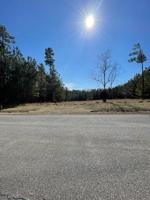 Lot 173 Hidden Cove LN