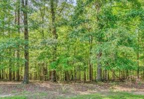 Lot 15 Lakecrest DR