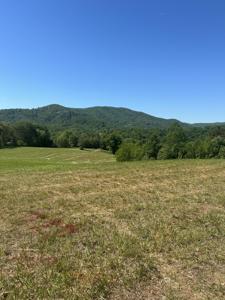 Lot 42 River Rock RD