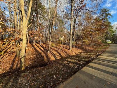 Lot 28 Camelot DR