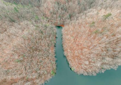 3909 Hodge Hollow RD