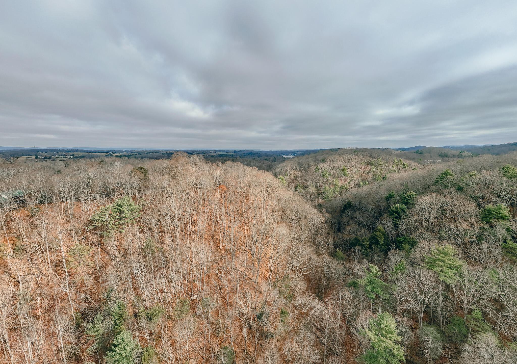 Image 4: Clark pic 10