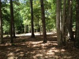 Lot #5 Lot 5 Alpine DR