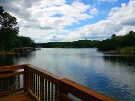 207 Wilderness WAY