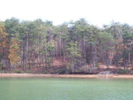 Lot 7 Penhook Pointe CIR