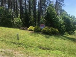 Lot 2 Inlet DR