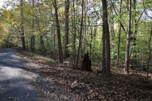 Lot 12 Woodway CT
