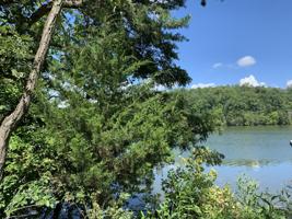 Lot 64 Stillwater LN